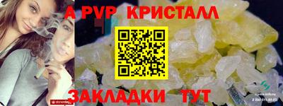 крисы Новозыбков