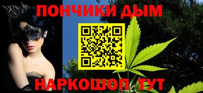 крисы Новозыбков