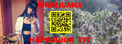 крисы Новозыбков