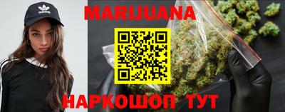 крисы Новозыбков