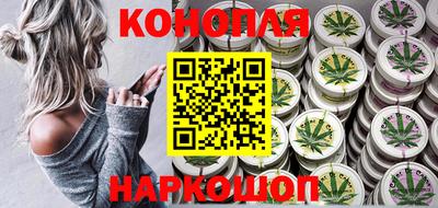 крисы Новозыбков