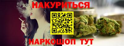 крисы Новозыбков