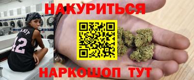 прущие грибы Новокубанск