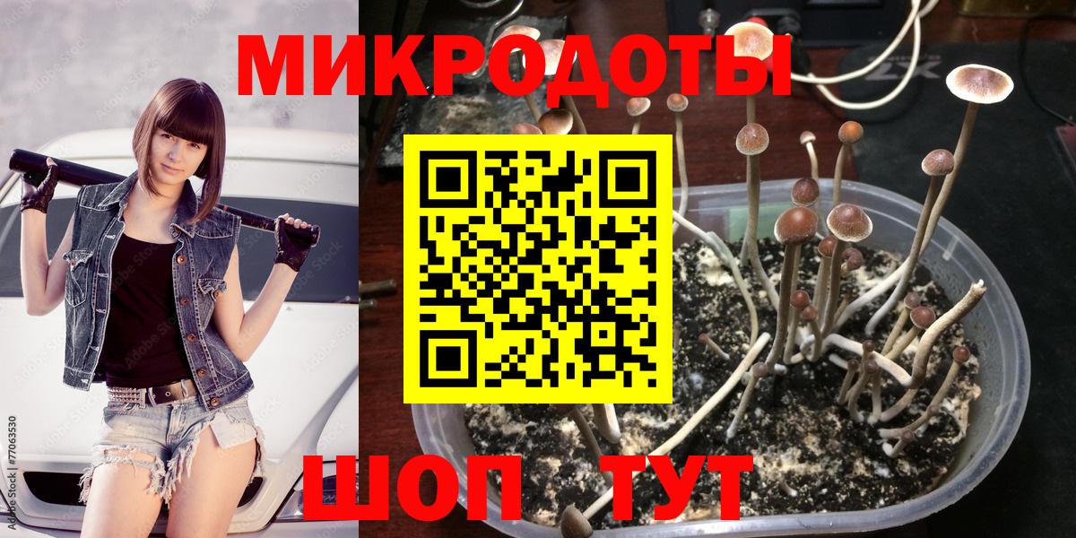 Галлюциногенные грибы ЛСД  где можно купить наркотик  Псилоцибиновые грибы Psilocybe  Сорочинск  Вход с VPN 