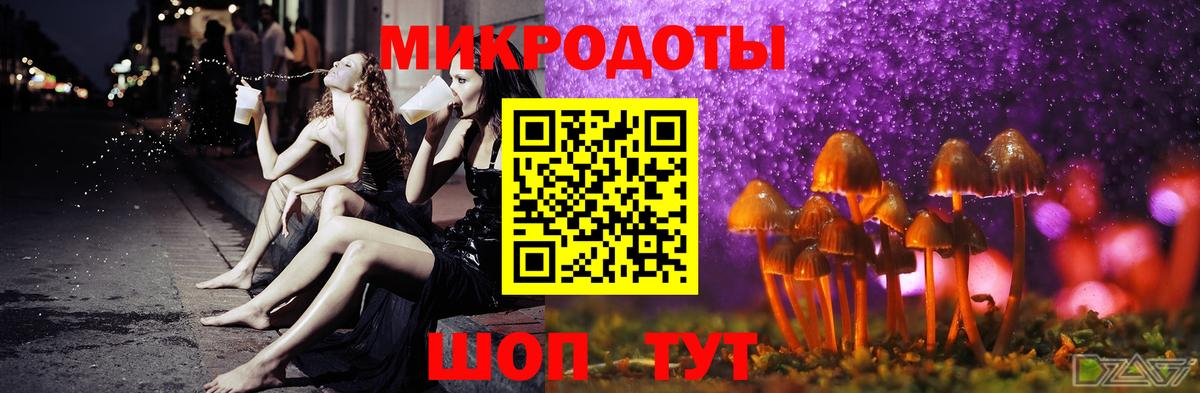 Псилоцибиновые грибы Cubensis Сорочинск